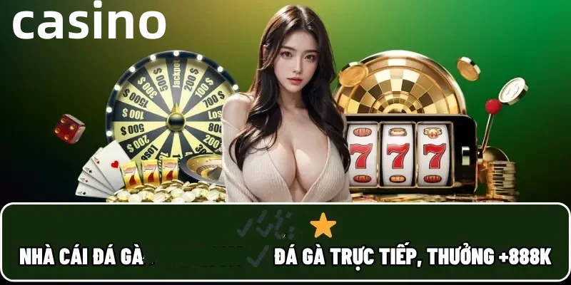 tin888ss